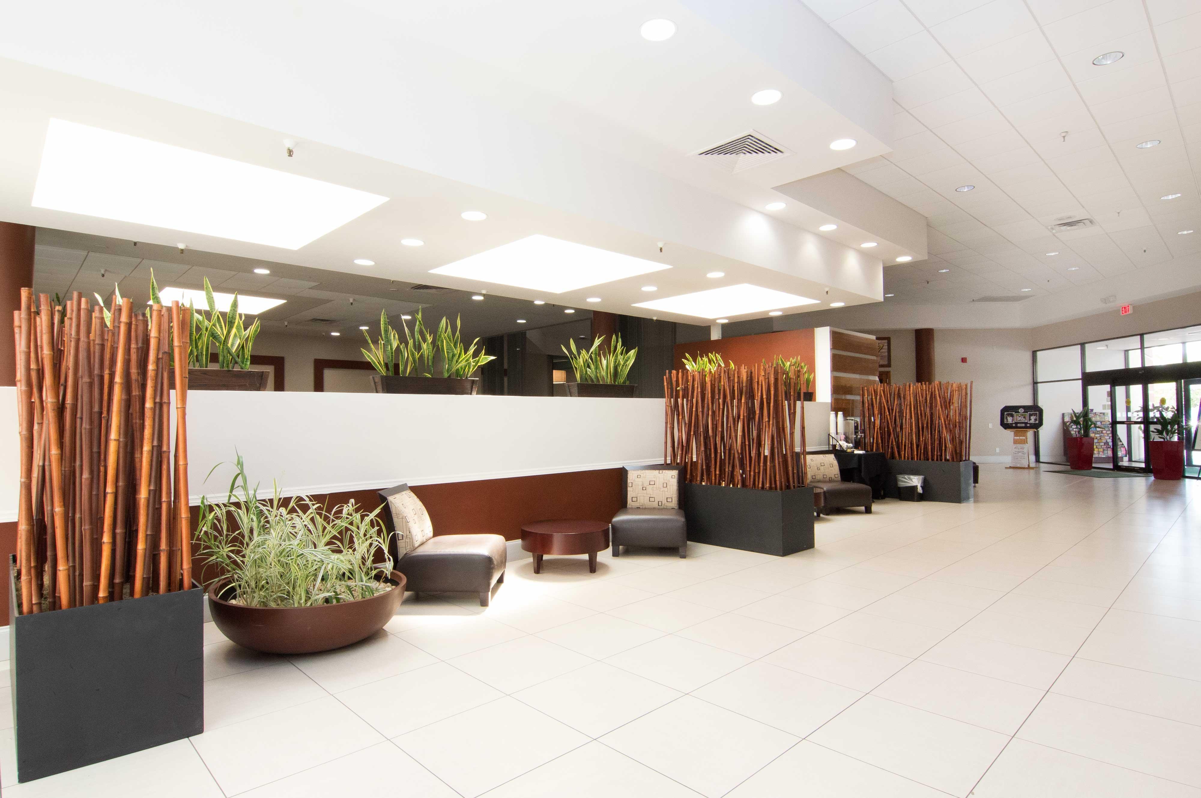 Holiday Inn St. Petersburg N - Clearwater, An Ihg Hotel Exterior foto